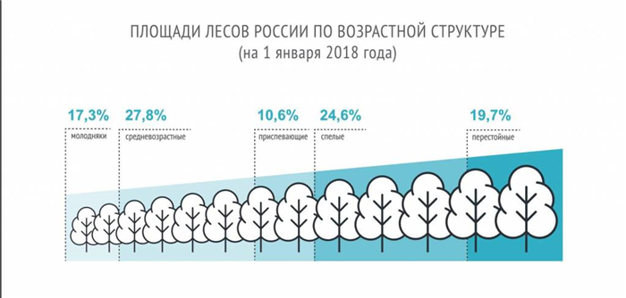 Рубить можно по-разному