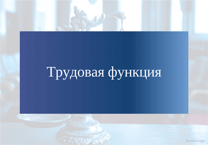 Что учесть при описании конкретной трудовой функции в трудовом договоре